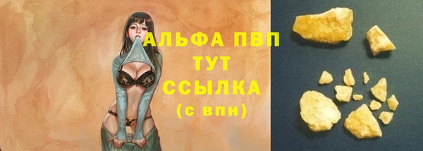 твердый Алексин