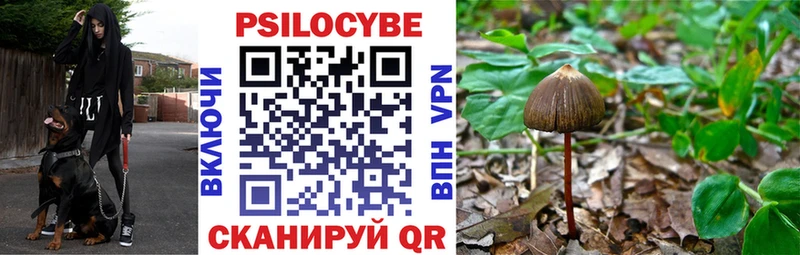 Псилоцибиновые грибы Cubensis  Петропавловск-Камчатский 