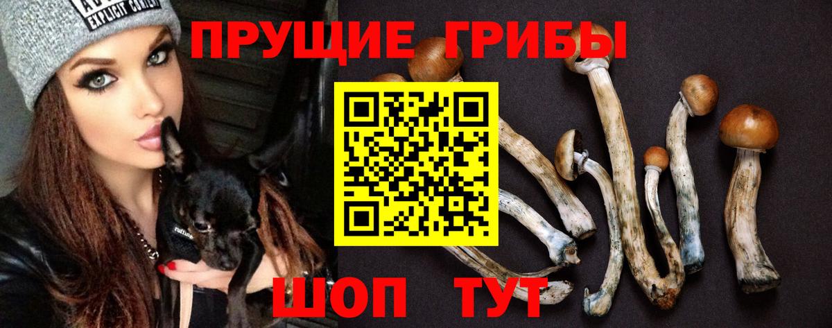 Петропавловск-Камчатский  Галлюциногенные грибы Cubensis  Вход с VPN 